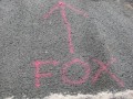 Terry_Fox_2007 10